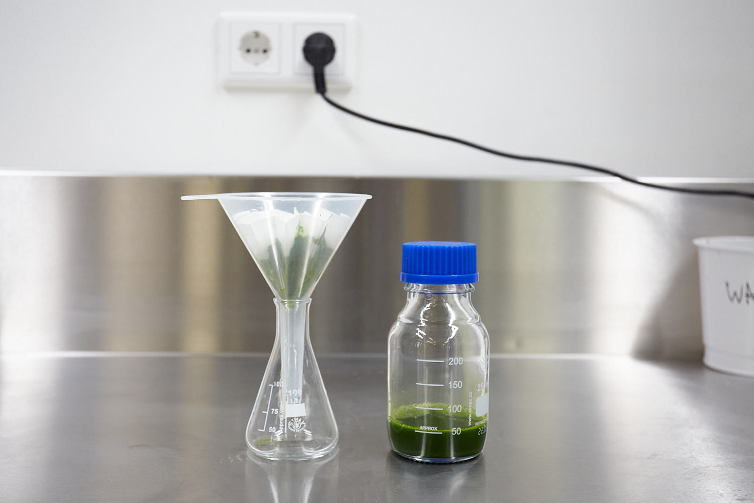 Anthotype Garden Cress process