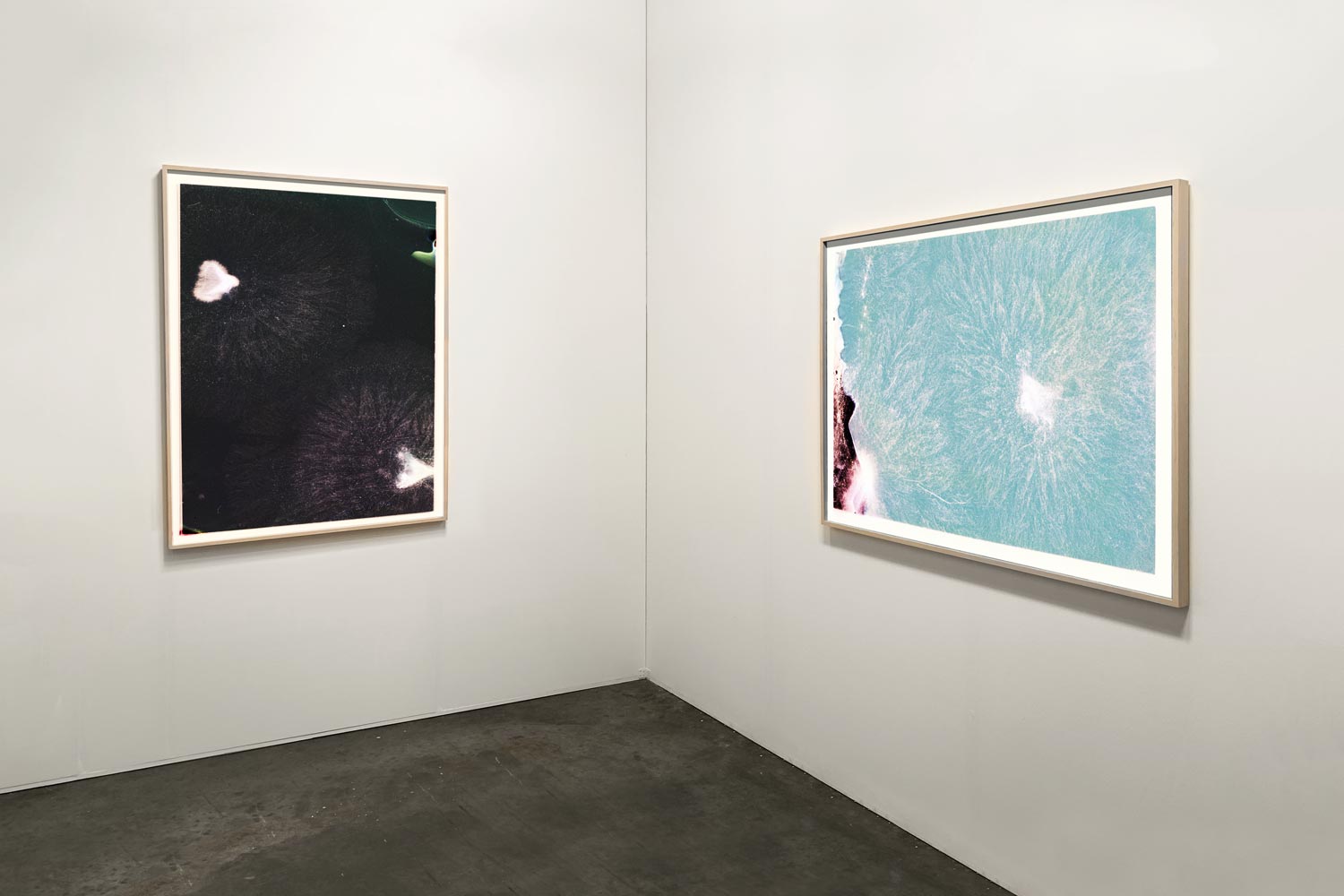 Mycelial Landscapes, 2023 - Hahnemühle fiber gloss framed, 60x80cm / 100x70cm