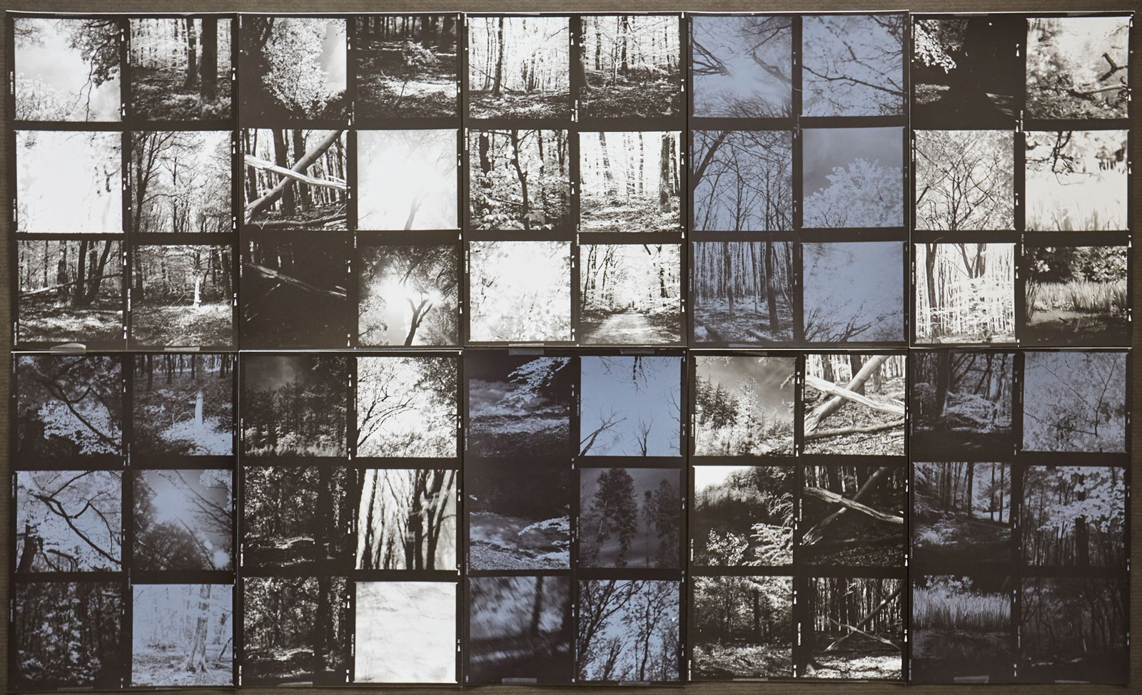 Off grid, 2020 - Fixed and unfixed contact prints on silver-gelatine paper, 110x80cm